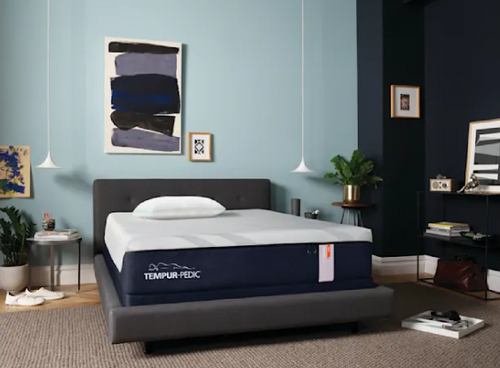 Store Blogs & Inspiration